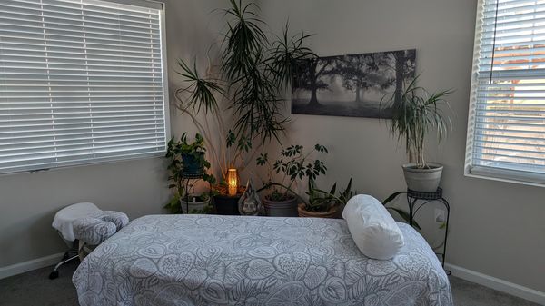 Chris — massage therapist in Saint Charles, MO