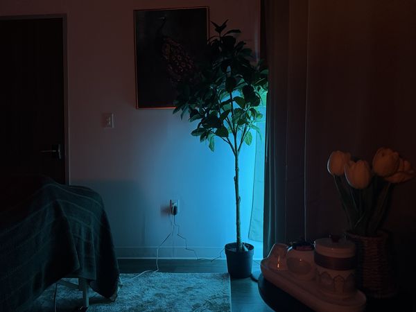 Bill — massage therapist in Richardson, TX