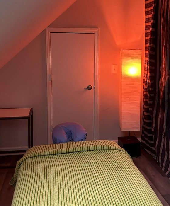 Dove — massage therapist in Chicago, IL