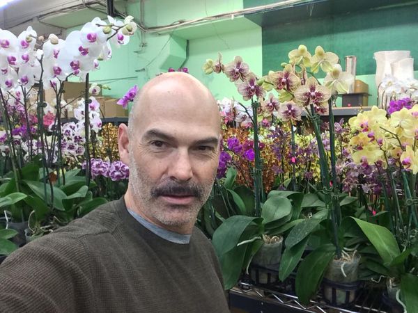 Mike — massage therapist in West Hollywood, CA